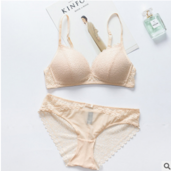 廠家直銷性感誘惑蕾絲少女內衣小胸罩薄無鋼圈女士文胸套裝三角杯