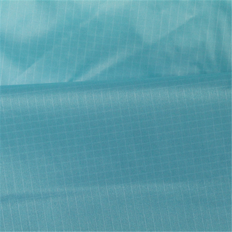 30D尼龍66 (2)_副本