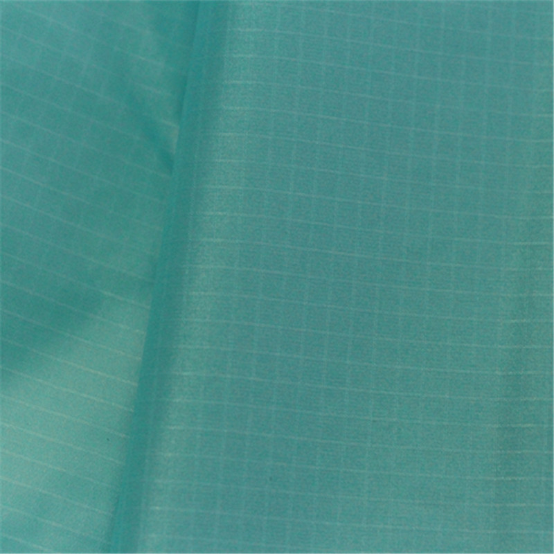 30D尼龍66 (3)_副本