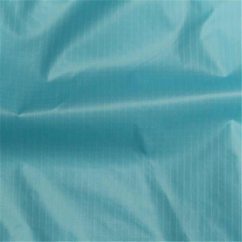 30D尼龍66 (1)_副本