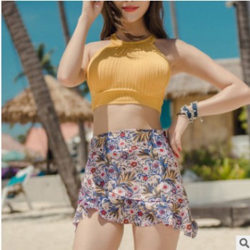 泳衣女分體裙式三件套遮肚顯瘦保守鋼托聚攏小胸游泳裝女一件代發(fā)