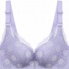 小雛菊性感蕾絲文胸小胸加厚內衣女上托無鋼圈舒適聚攏調整型胸罩