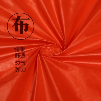 平紋尼絲紡20D 高密羽絨服無(wú)膽防絨面料尼絲紡風(fēng)衣面料直銷(xiāo)