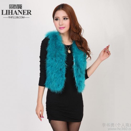 供應(yīng)【麗涵爾】2013秋冬女裝 **韓版氣質(zhì)短款純色** 馬甲女