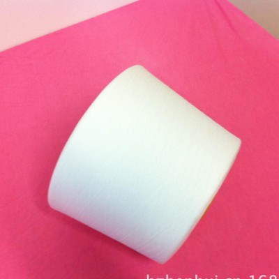 T80s  80/2純滌紗 80支雙股 滌綸紗 802