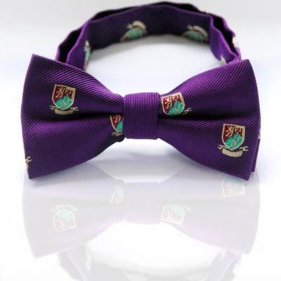 你你入思 男士韓版英倫風(fēng)平頭領(lǐng)結(jié)新郎結(jié)婚伴郎喜慶紫色領(lǐng)結(jié)包郵