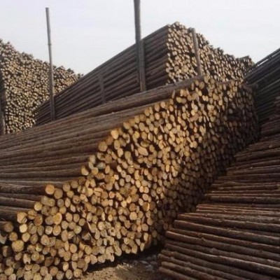 北京大量批發河道防汛松木樁、杉木樁、園林景觀綠化杉木桿杉桿，竹竿，草繩、草簾、竹笆片、筋笆片、無紡布、防塵網、土蓋網