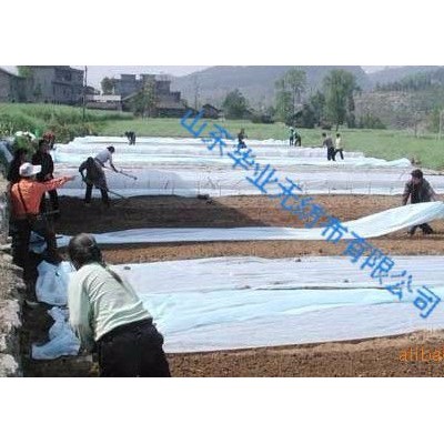 華業(yè) 農(nóng)用無紡布