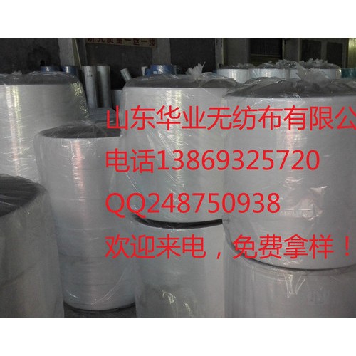 山東大量供應(yīng)環(huán)保袋 包裝袋無紡布pp無紡布華雨林紡粘無紡布