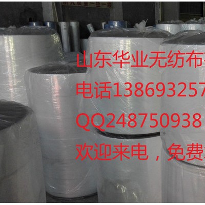 山東大量供應(yīng)環(huán)保袋 包裝袋無紡布pp無紡布華雨林紡粘無紡布