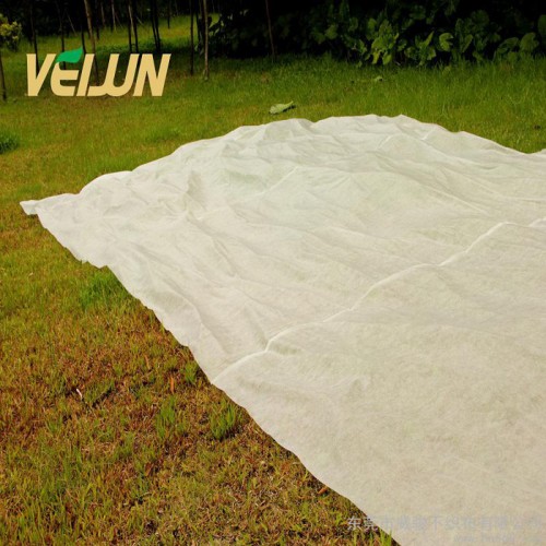 供應威駿農用無紡布覆蓋布