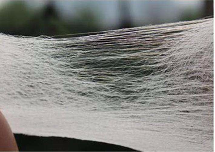 922a416d2919c524917c2b3cf921ce64 922a416d2919c524917c2b3cf921ce64.jpg