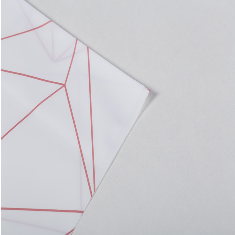 廠家定制 無紡布 春夏款服裝包裝袋 手提袋 設計