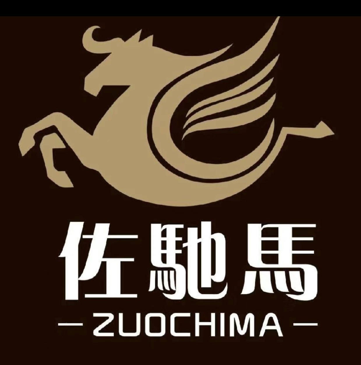 濟南佐馳馬服飾有限公司